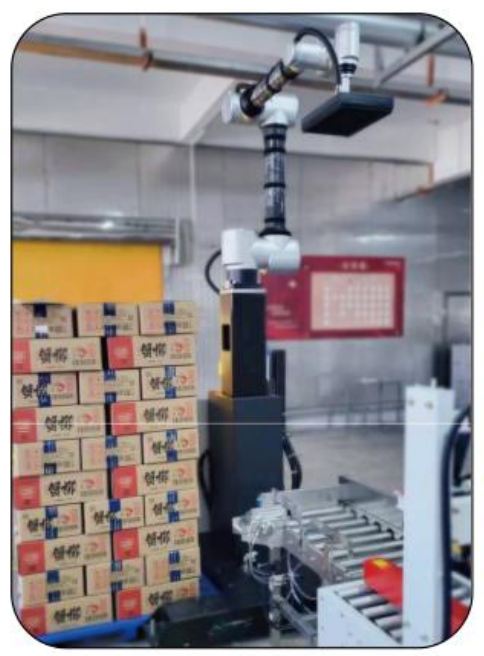 Robot xếp pallet cộng tác AI Ai-RMD30 (≤9 thùng/phút) – Giải pháp xếp pallet thông minh linh hoạt cho nhiều tình huống