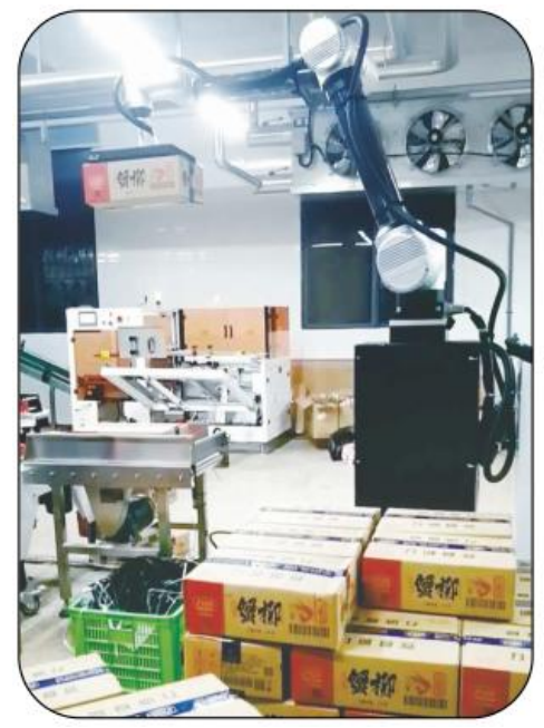 Robot xếp pallet cộng tác AI Ai-RMD30 (≤9 thùng/phút) – Giải pháp xếp pallet thông minh linh hoạt cho nhiều tình huống