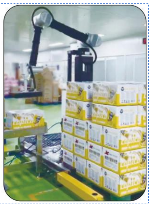 Robot xếp pallet cộng tác AI Ai-RMD30 (≤9 thùng/phút) – Giải pháp xếp pallet thông minh linh hoạt cho nhiều tình huống